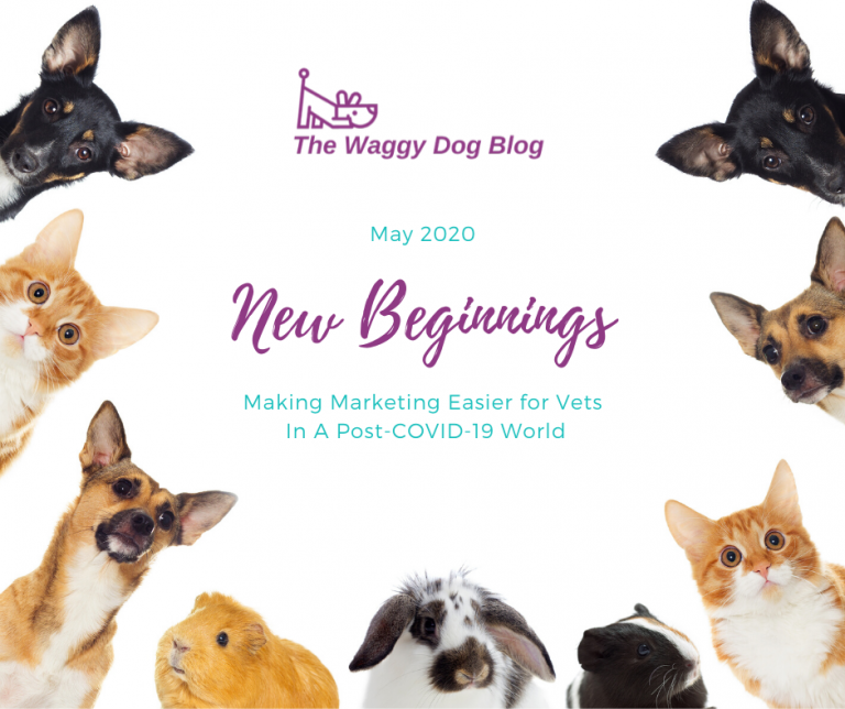 New Beginnings: Making Marketing Easier For Vets In A Post-COVID19 World