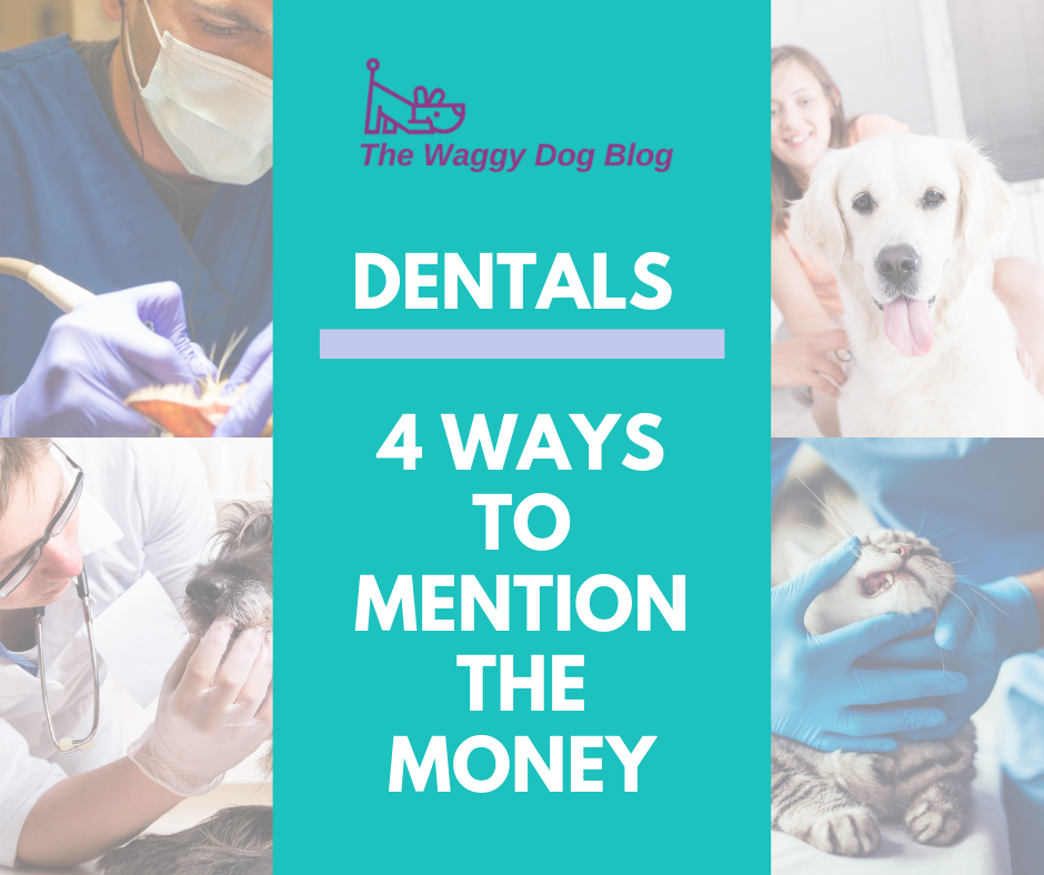 Dentals – 4 Ways To Mention The Money