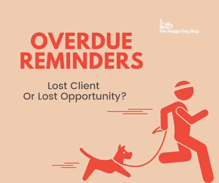 Overdue Reminders – Lost Client Or Lost Opportunity?