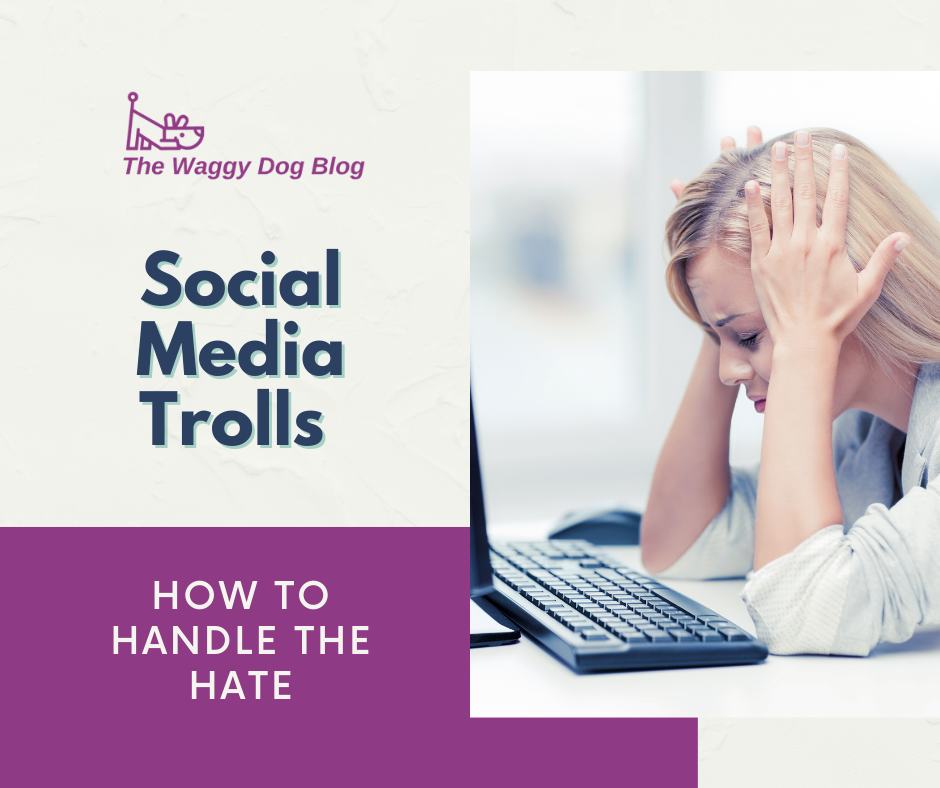 Read more about the article Social Media Trolls – How To Handle The Hate