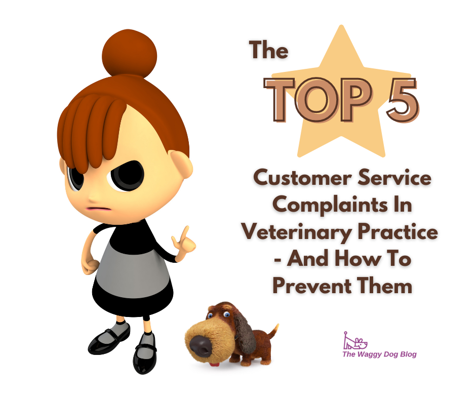 Read more about the article The Top 5 Customer Service Complaints In Veterinary Practice – And How To Prevent Them