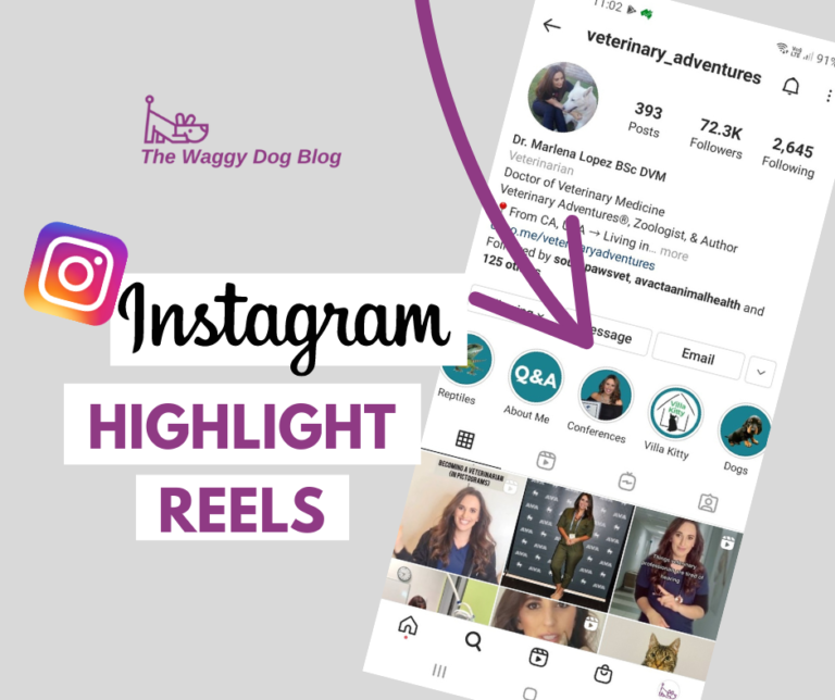 Instagram Highlight Reels