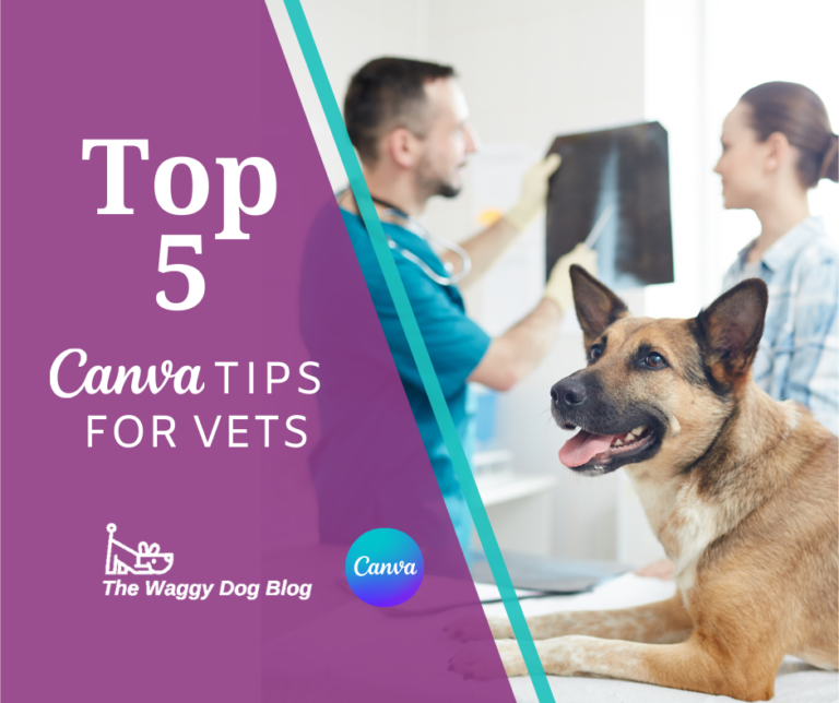 Read more about the article Top 5 CANVA Tips for Vets