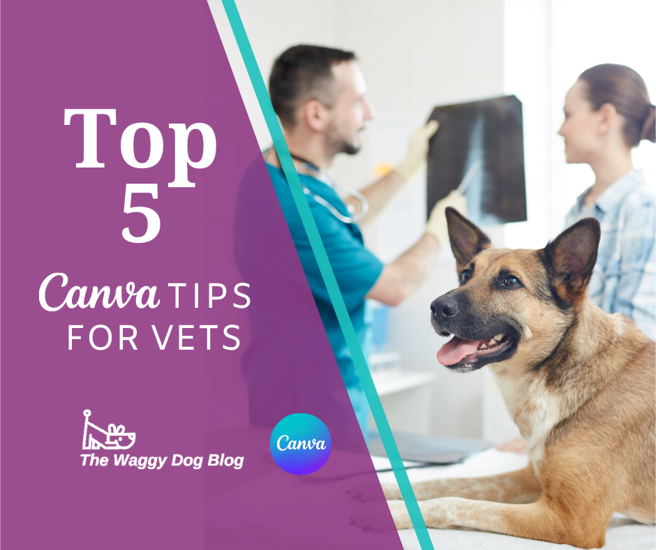 Top 5 CANVA Tips for Vets