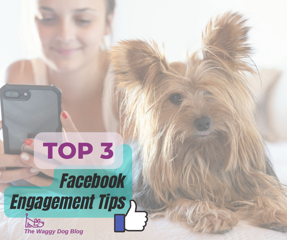 Top 3 Facebook Engagement Tips—What Makes Pet Owners Engage With Your Posts?