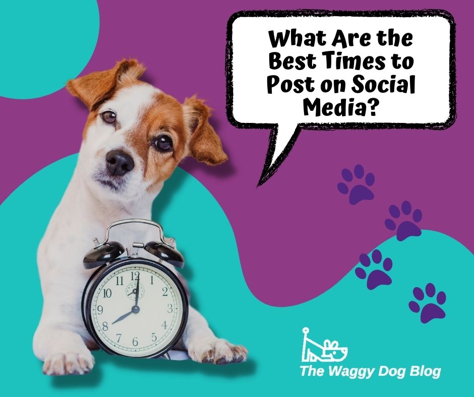 What Are the Best Times to Post on Social Media?