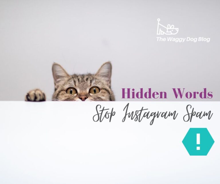 Read more about the article Stop Instagram Spammers with Hidden Words