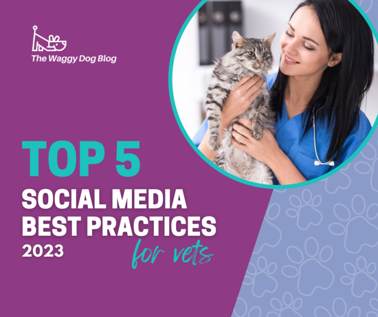 Read more about the article Top 5 Social Media Best Practices for Vets in 2023