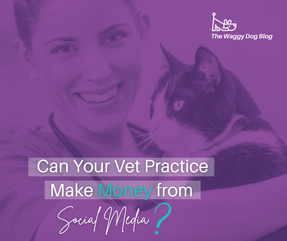 Read more about the article Can Your Vet Practice Make Money from Social Media?