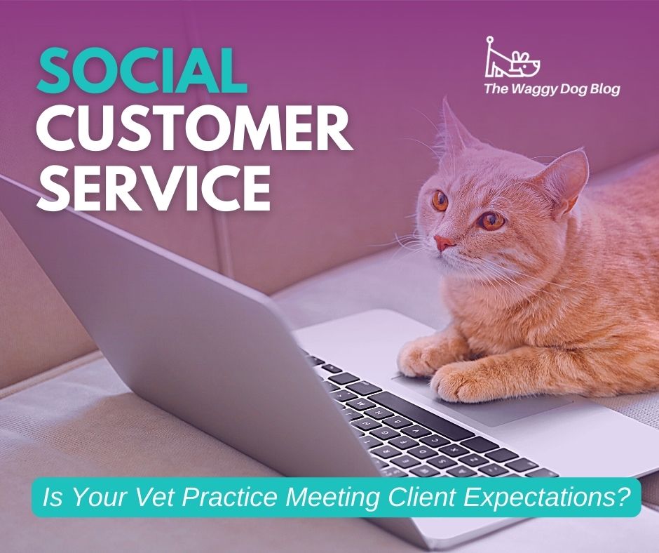 Read more about the article Social Customer Service—Is Your Vet Practice Meeting Client Expectations?