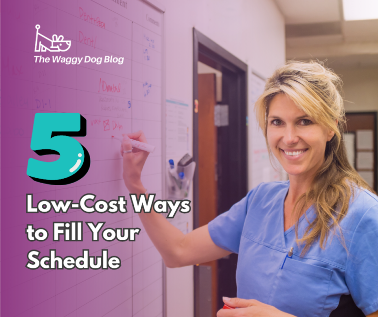 Read more about the article 5 Low-Cost Ways to Fill Your Schedule