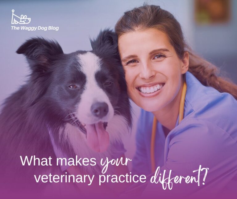 Read more about the article What Makes Your Veterinary Practice Different? Know Your Competitors
