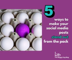 Read more about the article 5 Ways to Make Your Social Media Posts Stand Out From the Pack
