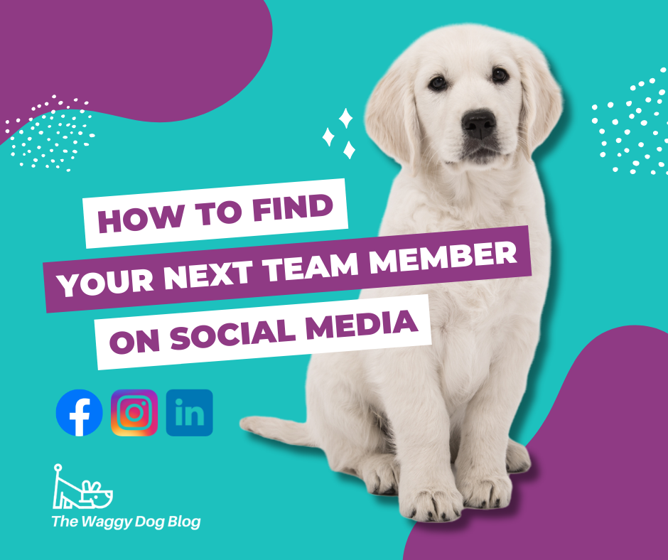 Read more about the article Recruitment – How To Find Your Next Team Member On Social Media