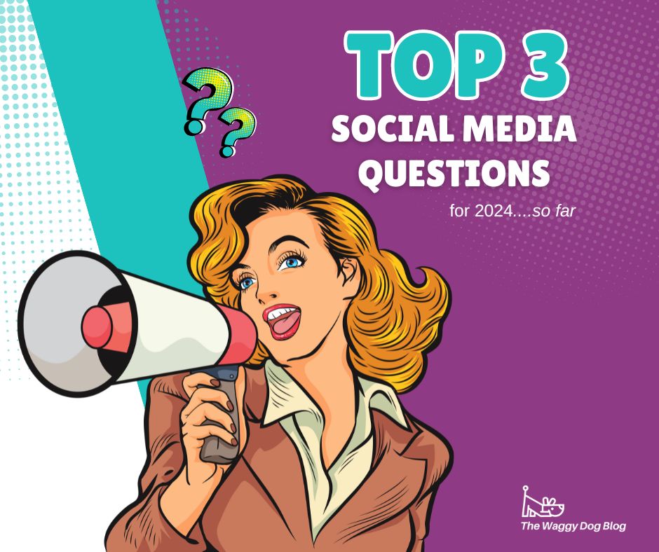 Read more about the article Top 3 Social Media FAQs for 2024…So Far