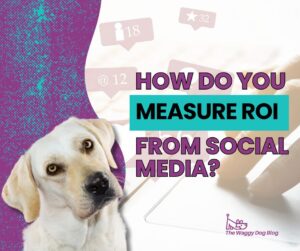 Read more about the article How Do You Measure ROI from Social Media?