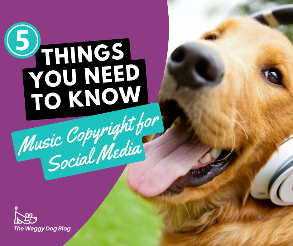 Read more about the article 5 Things You Need to Know About Music Copyright for Social Media