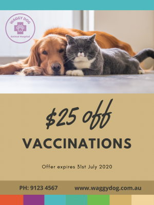 Waggy Dog Vaccination Promo